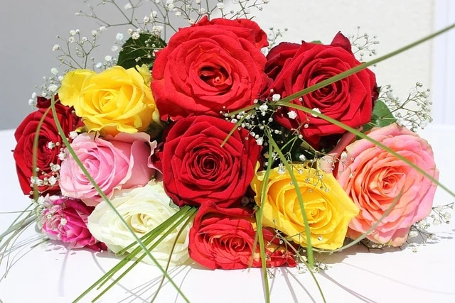 Blumen, die mit Silverlin Kolloidalem Silber länger frisch und schön bleiben